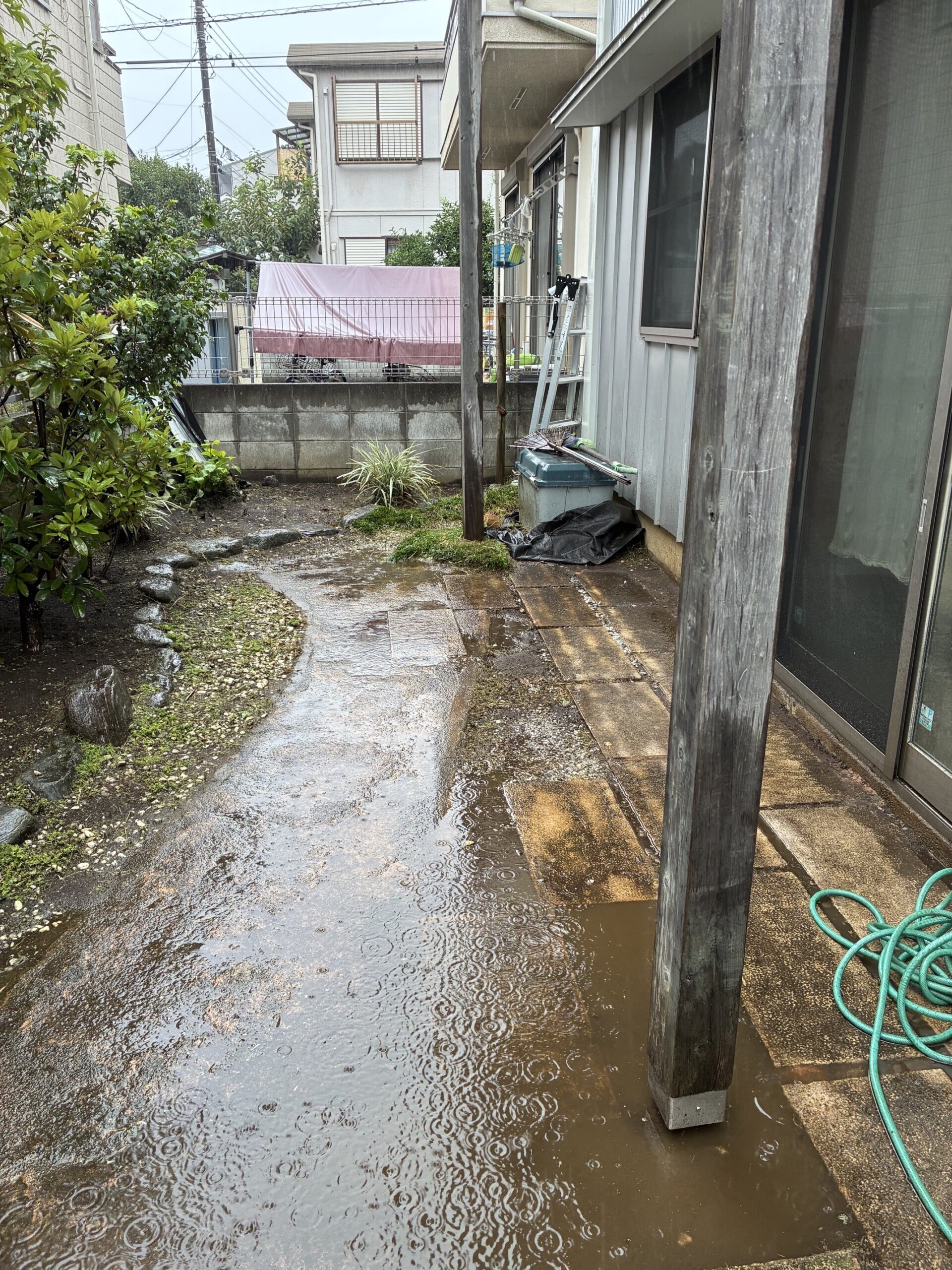 シマトネリコ、常緑ヤマボウシ剪定ほか@府中市_作業後01