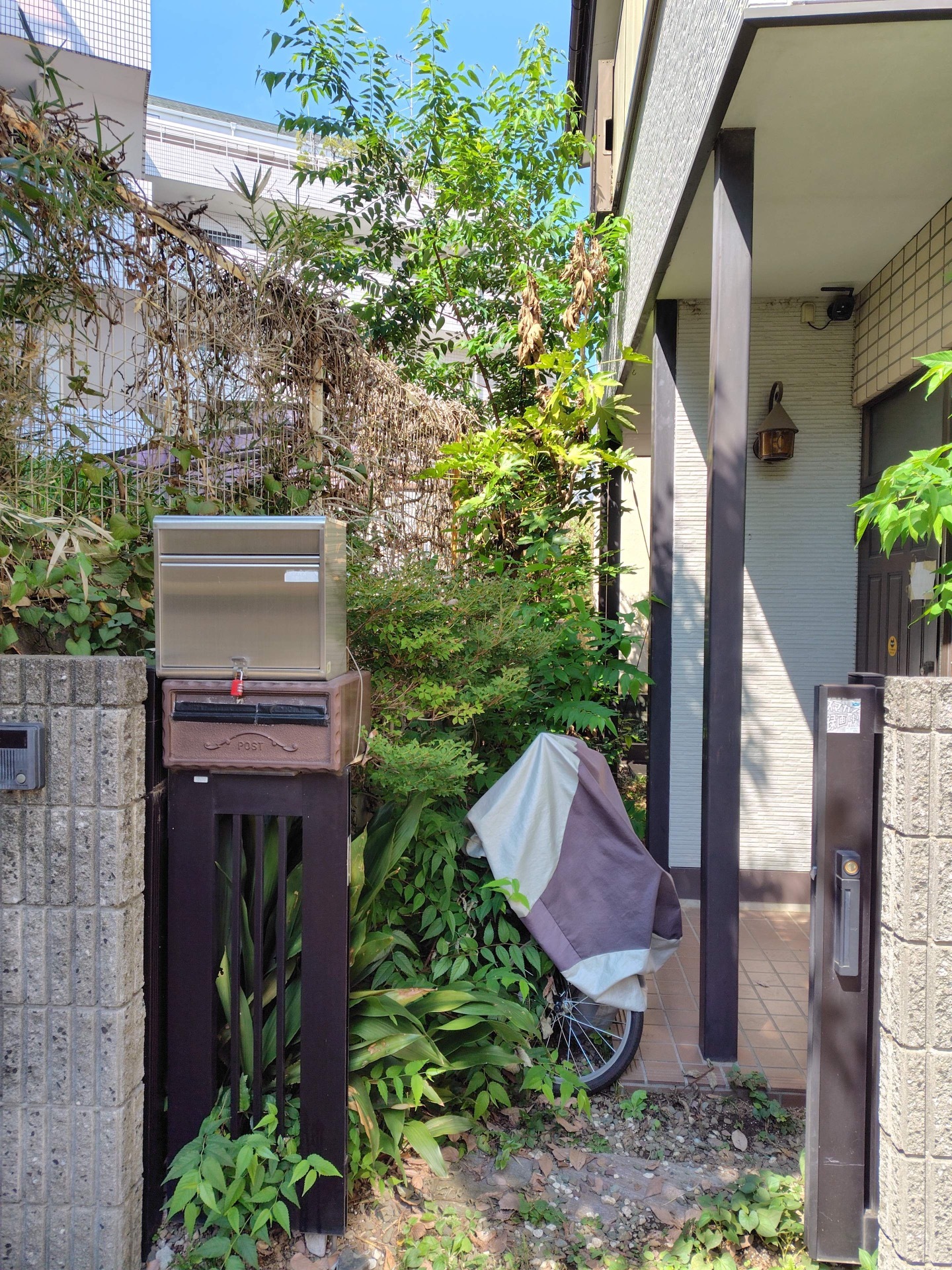 ドウダンツツジ、ハランなど伐採抜根＠練馬区 作業前3