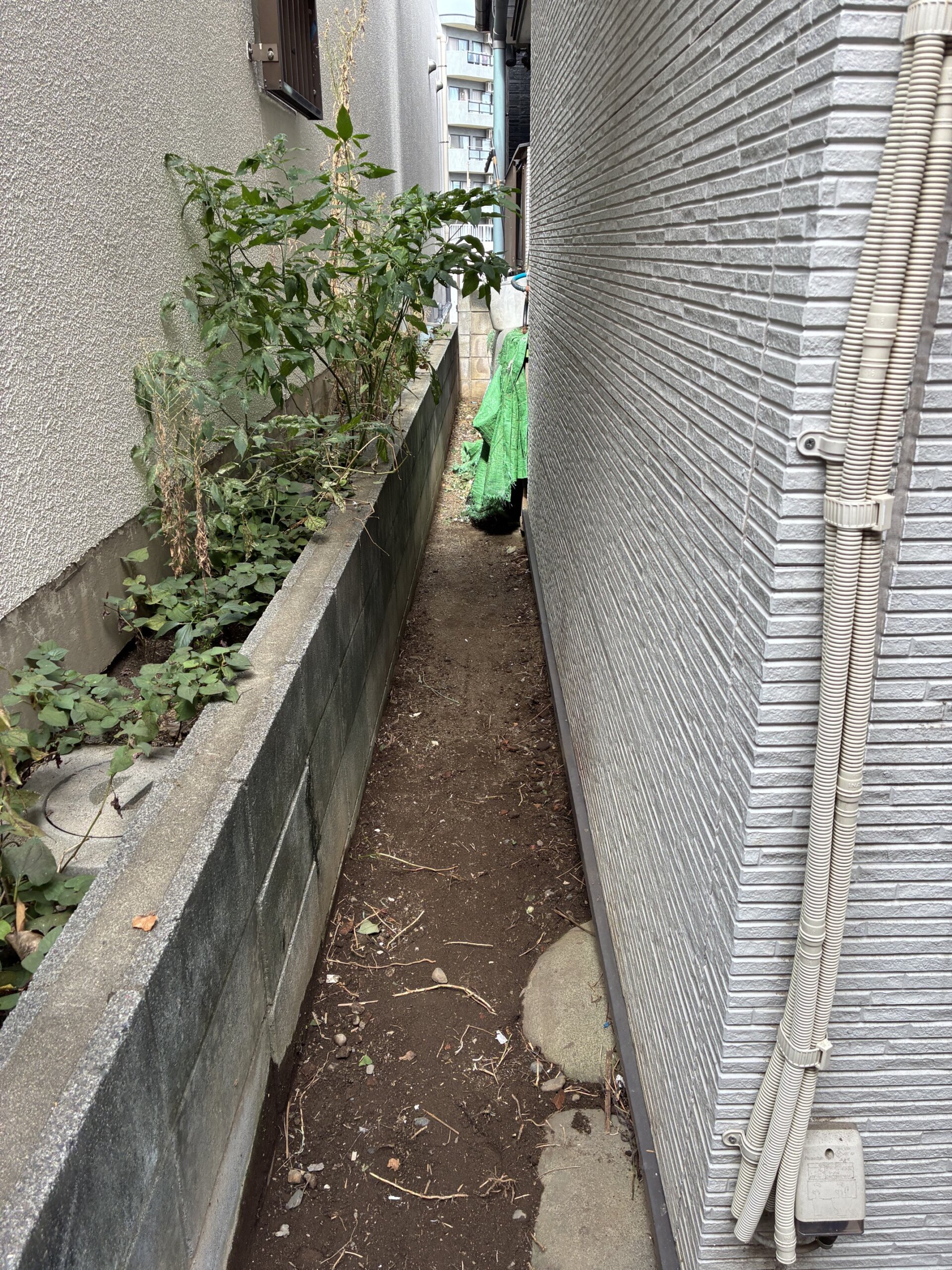 ドウダンツツジ、ハランなど伐採抜根＠練馬区 作業後3