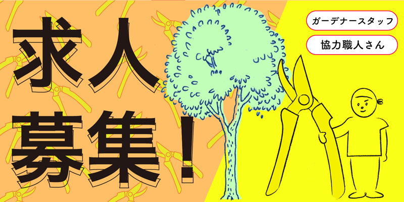 正規スタッフ・アルバイト求人募集