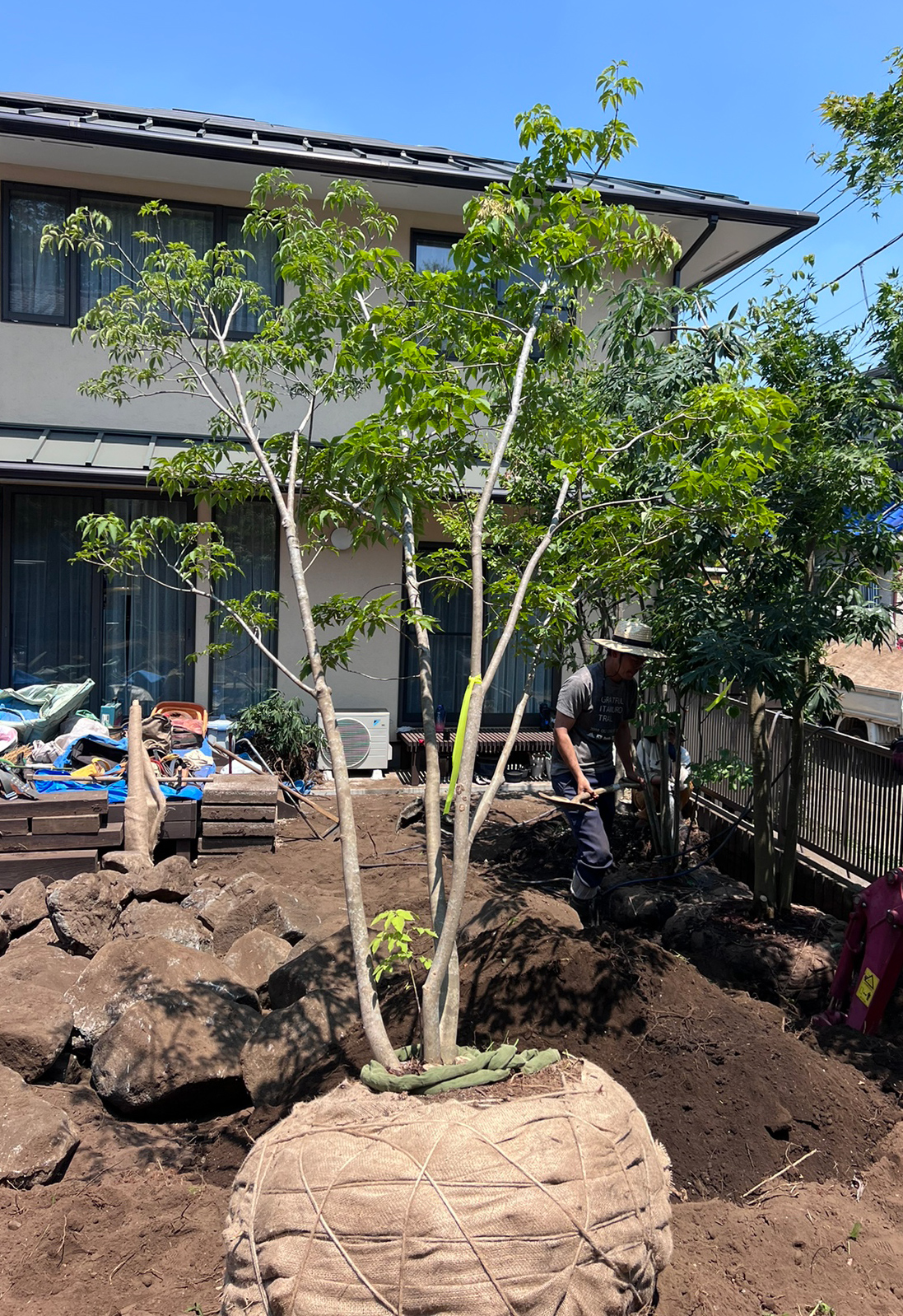 植え付けを行う様子