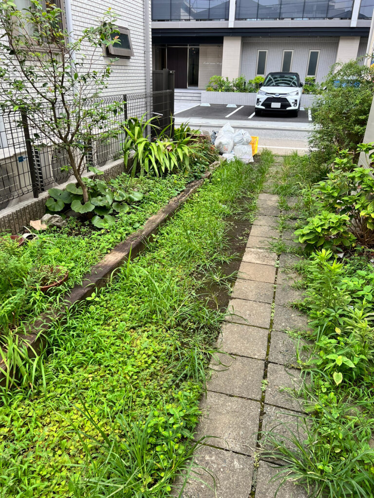 花壇と通路の除草前＠杉並区