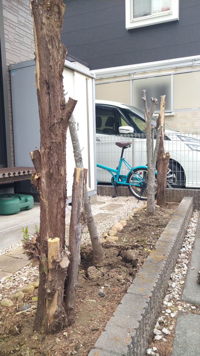 大きくなったコニファーの抜根＠東村山市 対応前