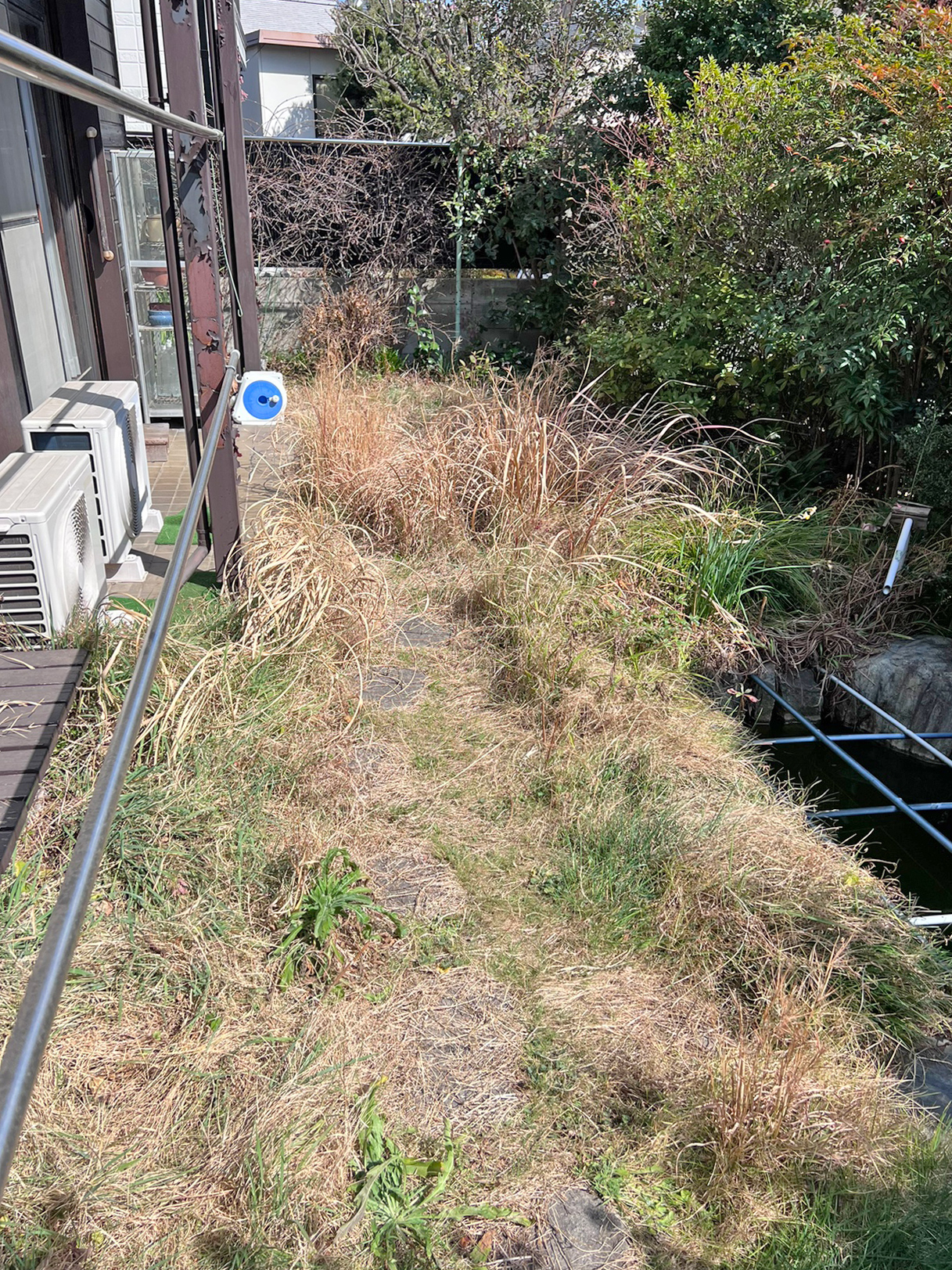 刈り払い機での除草前