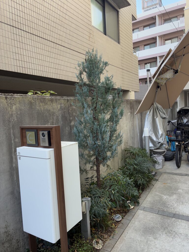 コニファー剪定と伐採、下草整理＠世田谷区 作業後