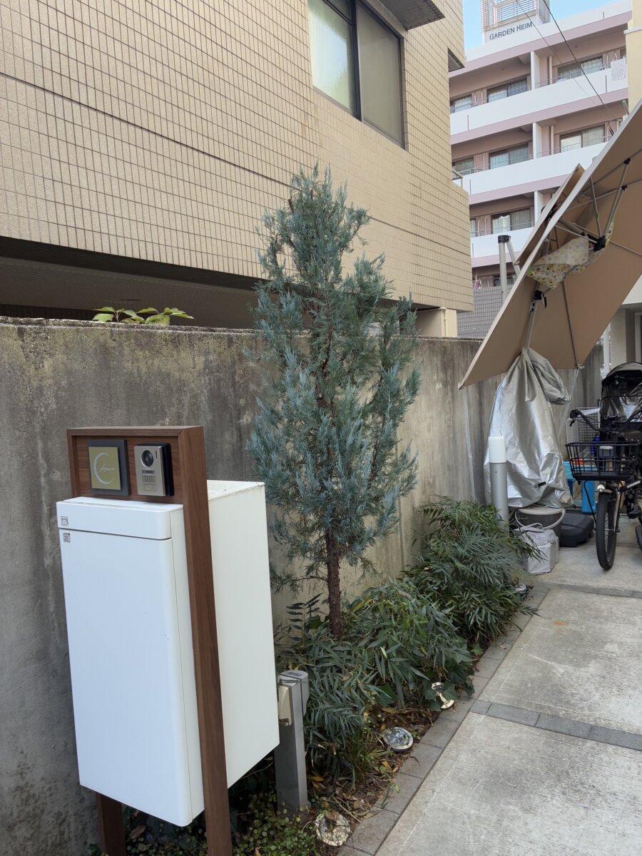 コニファー剪定と伐採、下草整理＠世田谷区 作業後